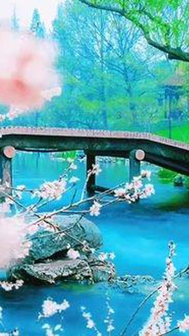 救援鹦鹉